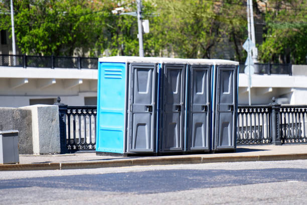 Best Sanitation services for porta potties  in Lake City, MN